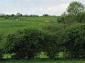 1st Belgian Octagon Tour (157)